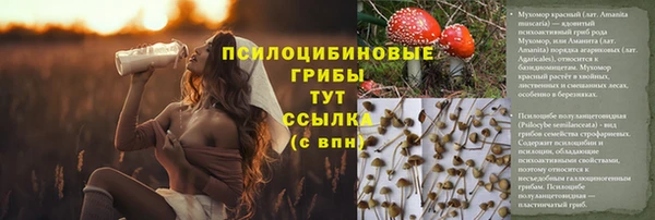 прущая мука Вязники