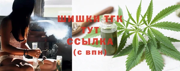 стаф Волосово