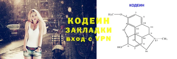 мдпв Вязьма
