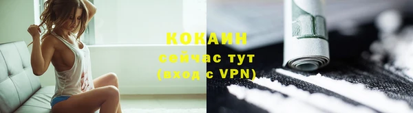 ешки Вяземский