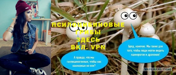 мдпв Вязьма