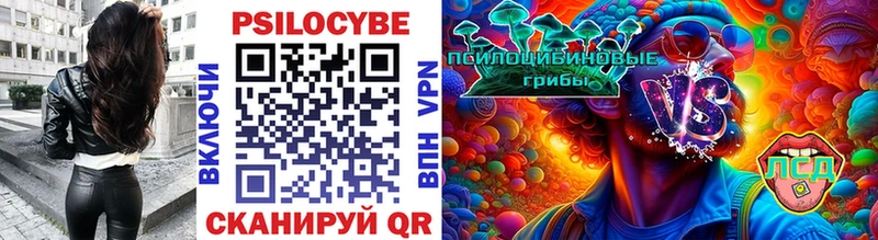 Псилоцибиновые грибы мухоморы  даркнет сайт  Ноябрьск 
